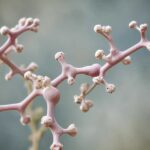 Entdecke, wie S-Acetyl-Glutathion dein Wohlbefinden steigern kann! image